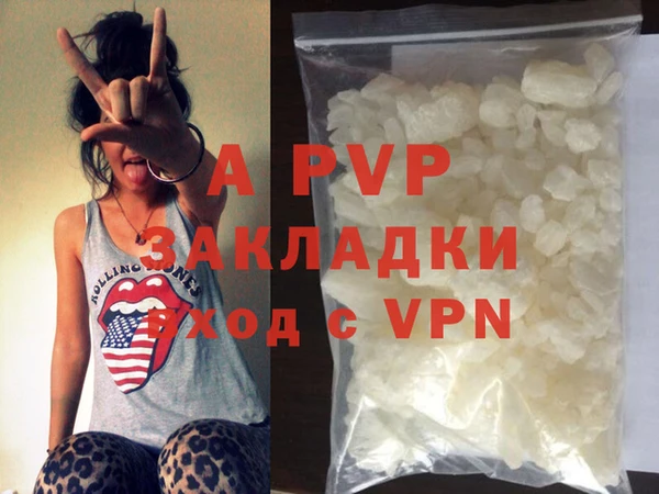 гидра Алексин